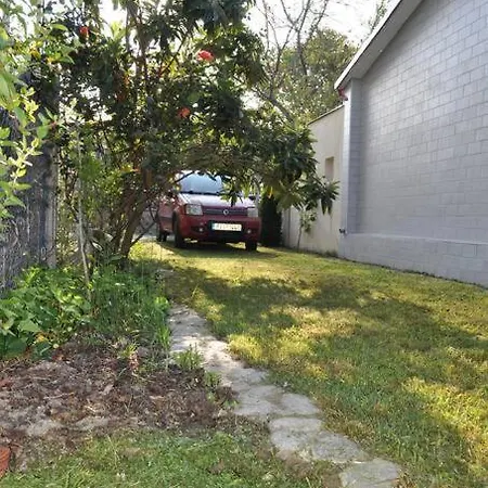 Fofi's Garden