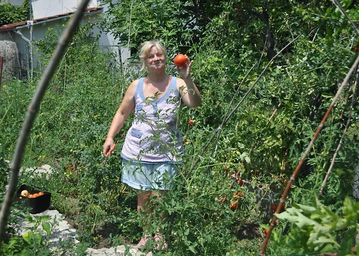 Fofi's Garden *