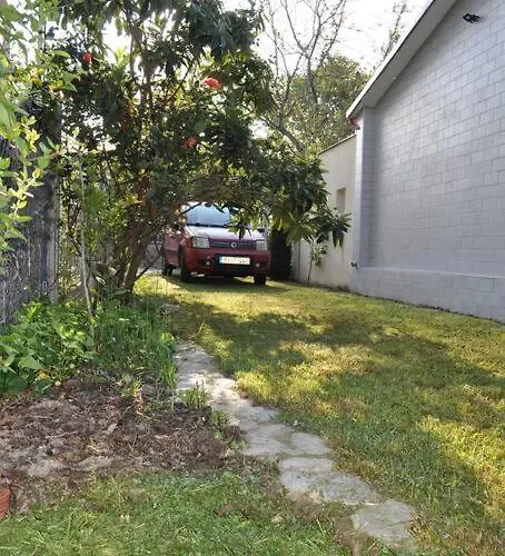 Fofi's Garden