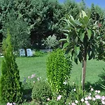 Fofi's Garden Semesterbostad
