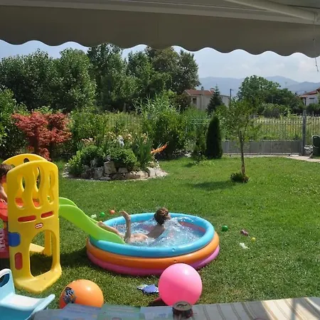 Fofi's Garden