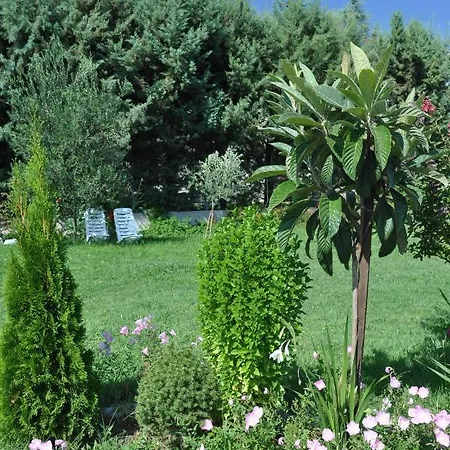 Fofi's Garden Hébergement de vacances