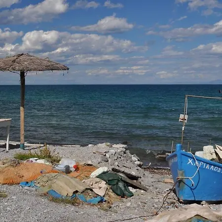 Hébergement de vacances Fofi's Garden